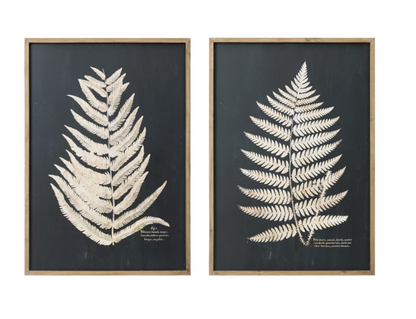 Fern Wall Art (In-store pickup only)